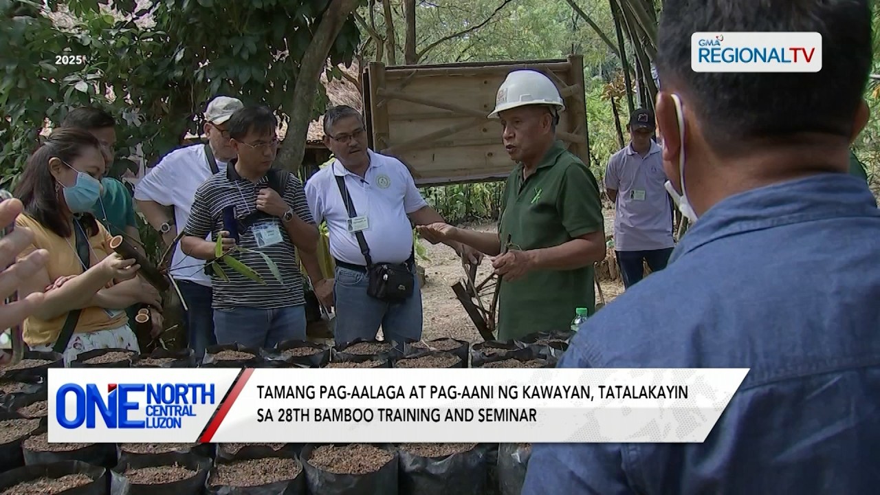 Tamang pag-aalaga ng kawayan, tatalakayin sa 28th Bamboo Training/Seminar | One North Central Luzon